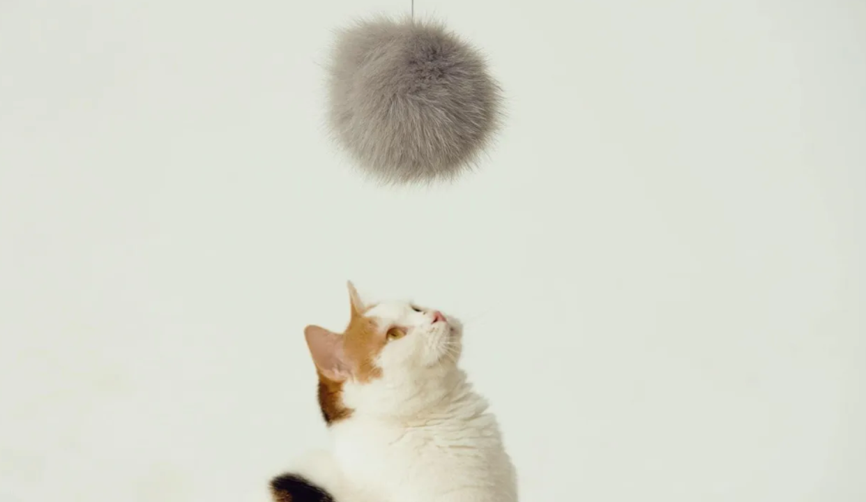 日本「猫型无人机」，给猫主子的奢侈品玩具