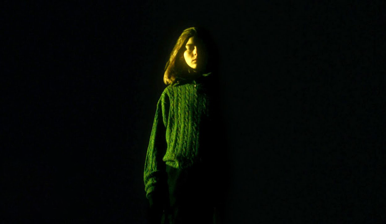 后院挖坟：关于家庭秘密的惊悚故事