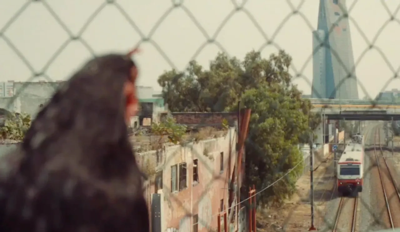 玉米片励志广告：给你一个「鸡」会