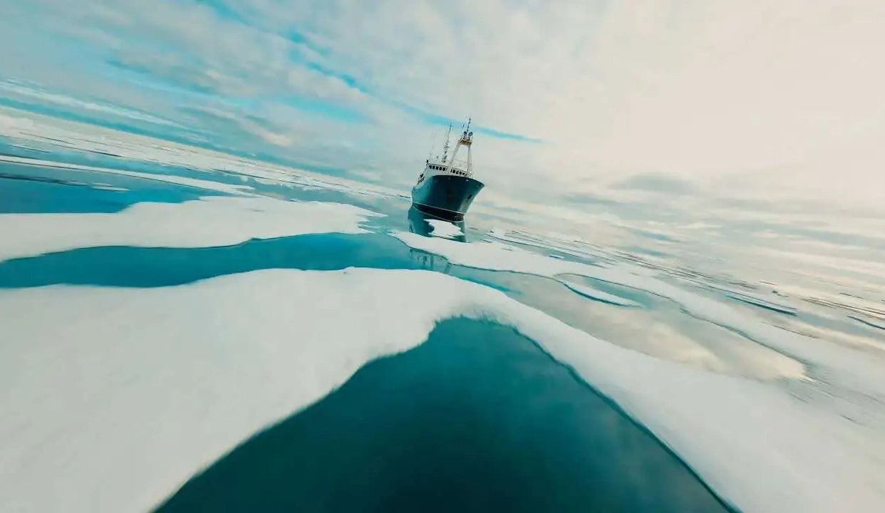 北极之痛｜隐身的梦魇与地球的呼唤