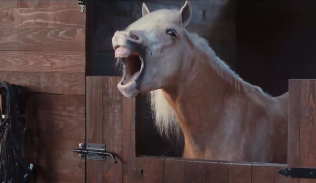 倒车倒不好，都要被「马」嘲笑